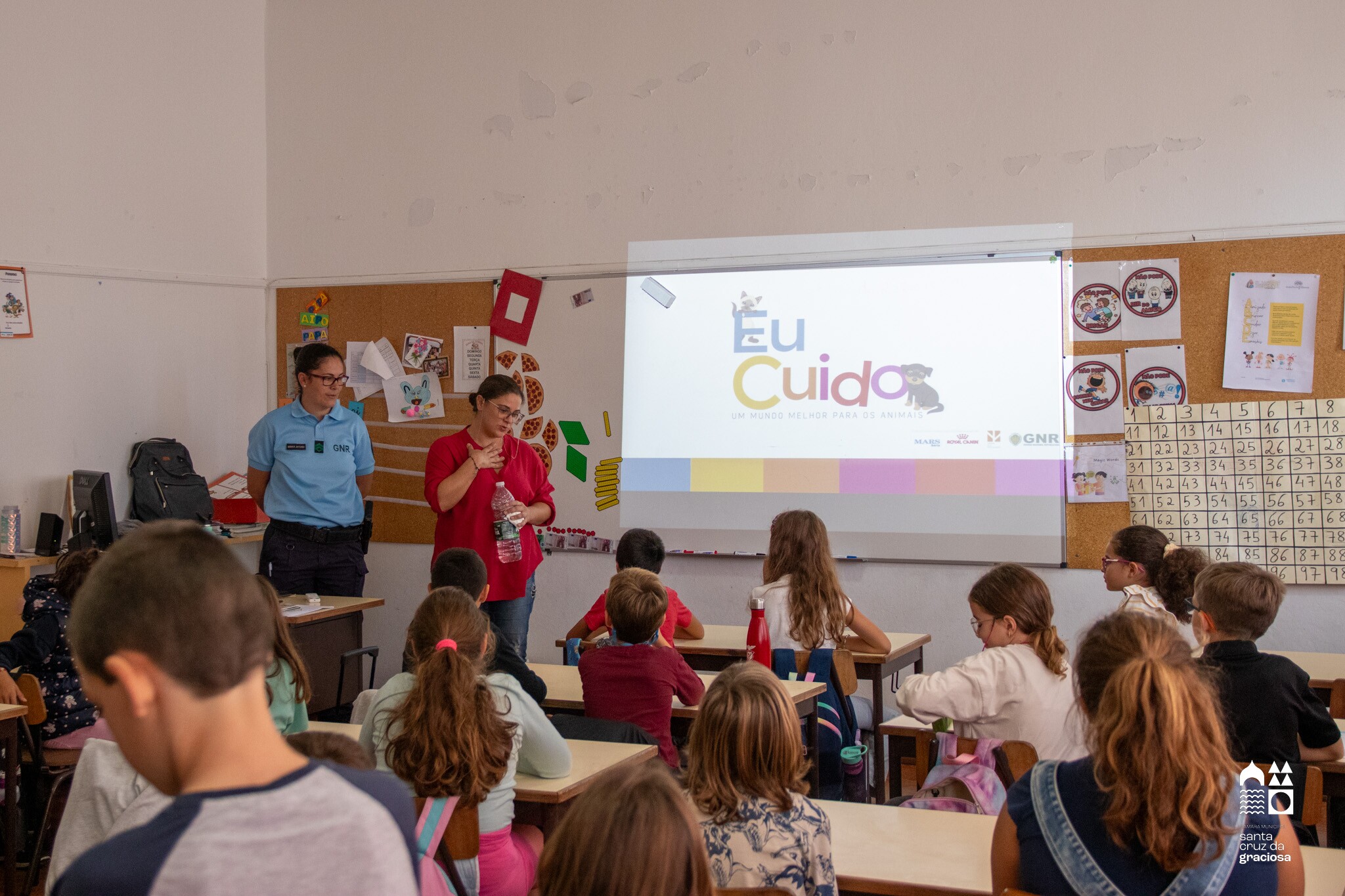 Dia Mundial do Animal 