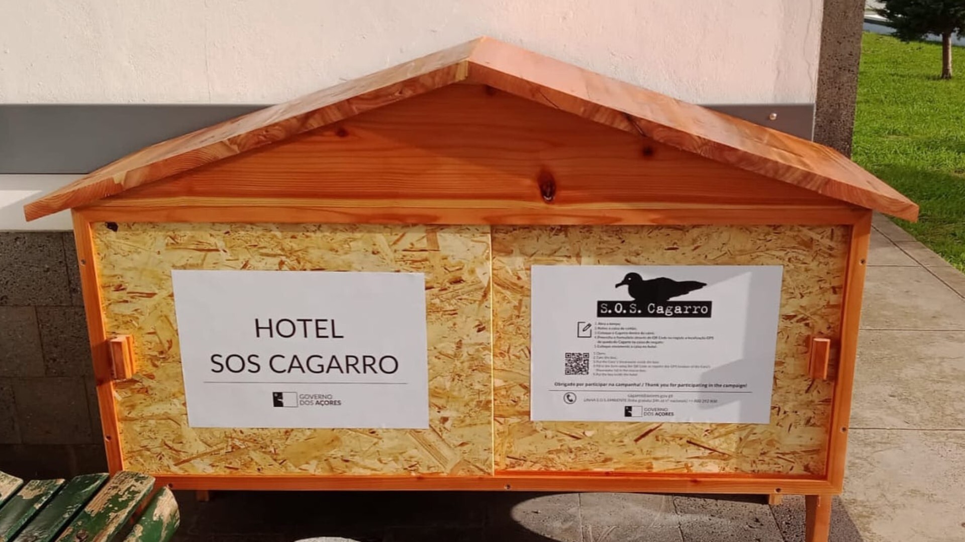 DIVULGAÇÃO | "Hotéis de Cagarros" na ilha Graciosa para Apoiar a Campanha SOS Cagarro 2024