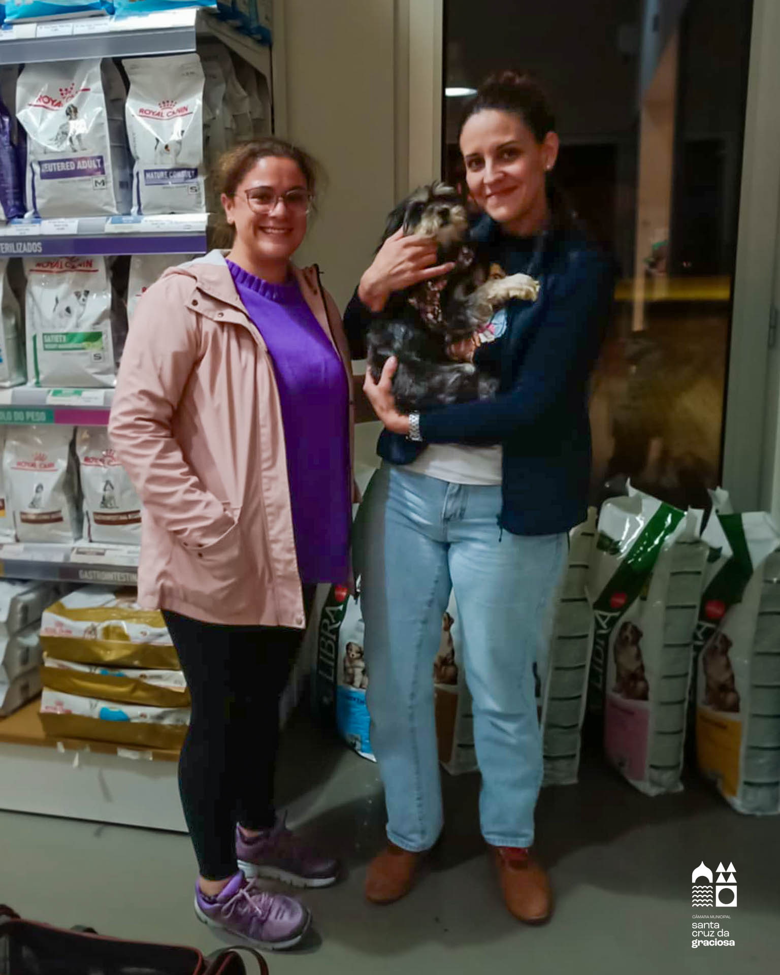 CENTRO DE RECOLHA OFICIAL DA ILHA GRACIOSA | Adoção 🐱