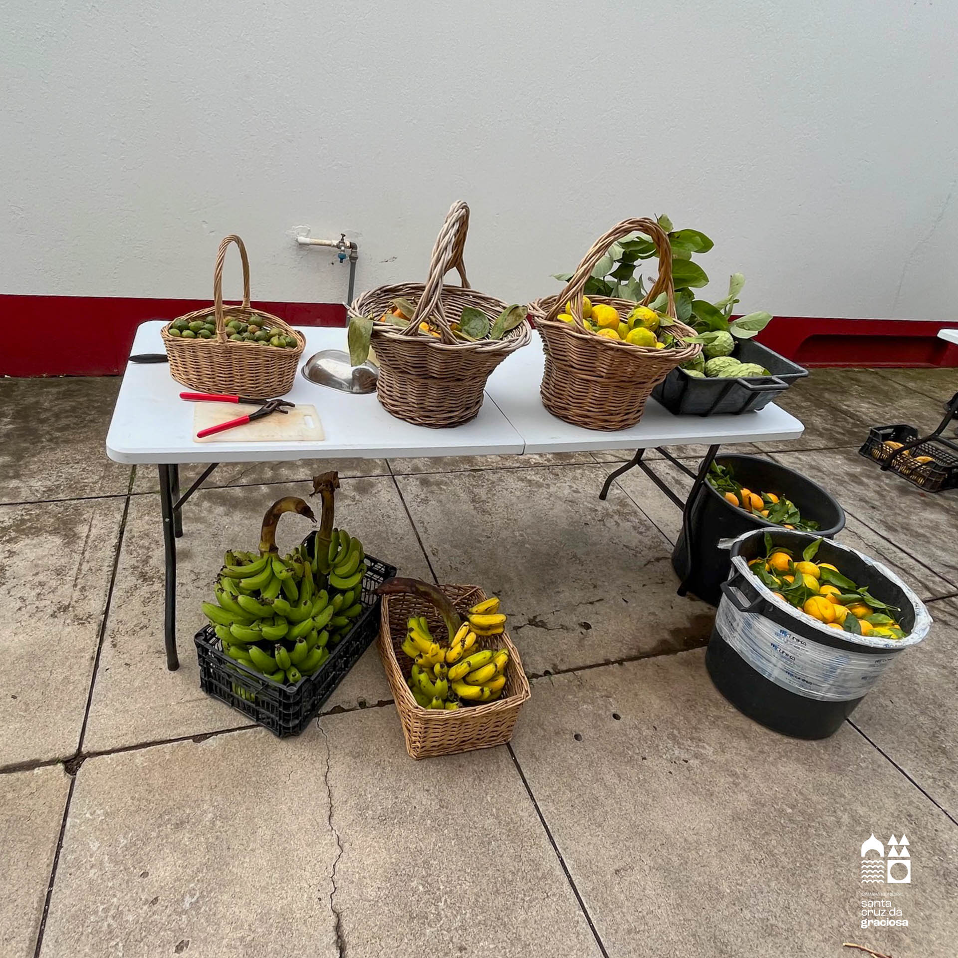 16ª Semana Europeia da Prevenção de Resíduos 