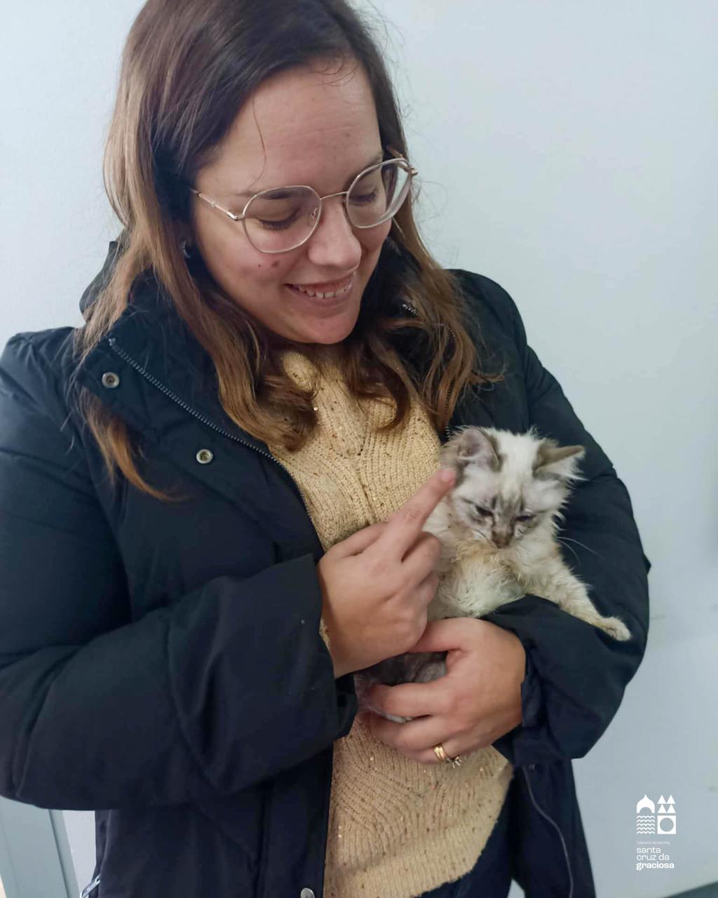 CENTRO DE RECOLHA OFICIAL DA ILHA GRACIOSA | Adoção 🐱