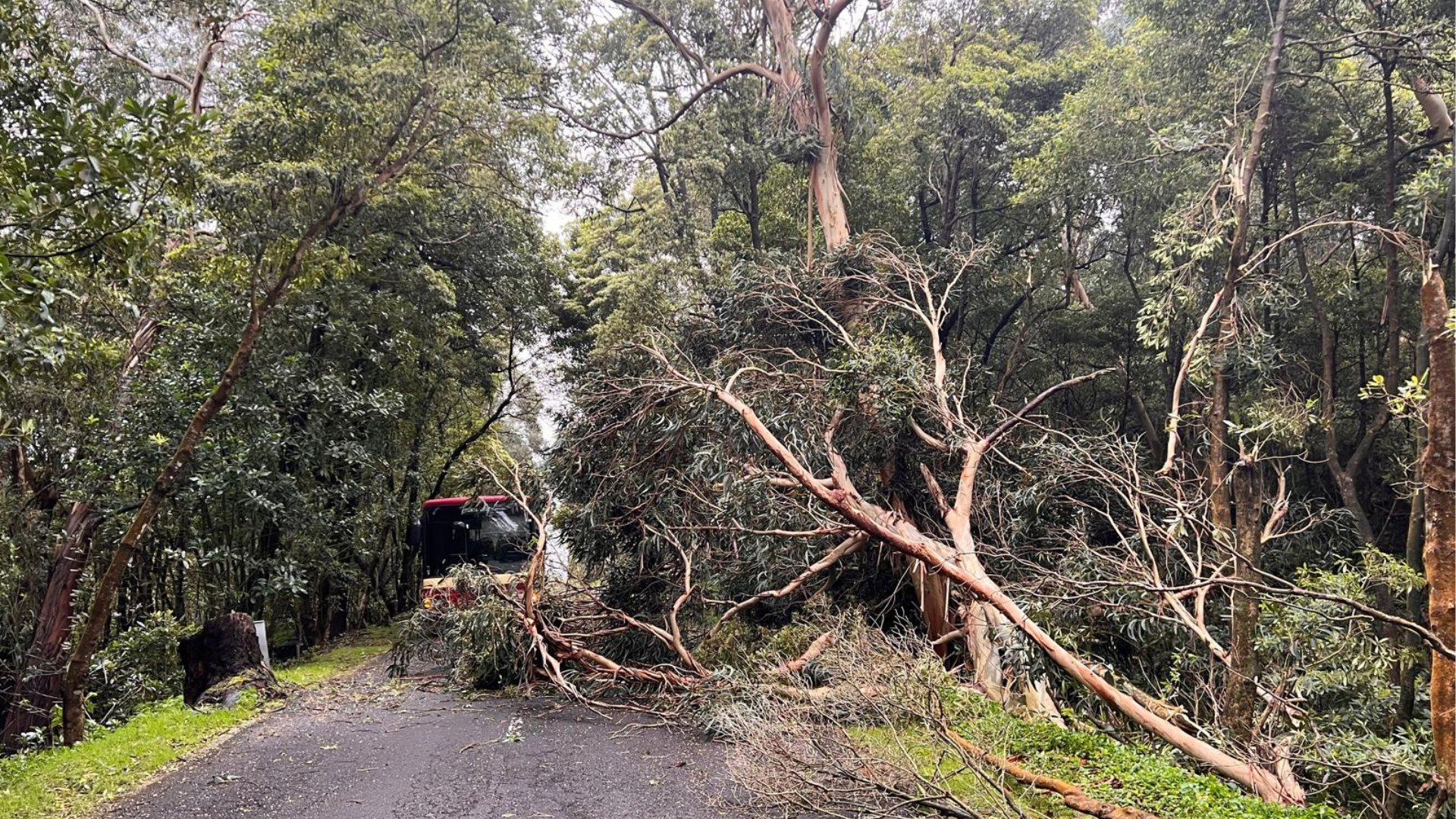 SERVIÇO MUNICIPAL DE PROTEÇÃO CIVIL