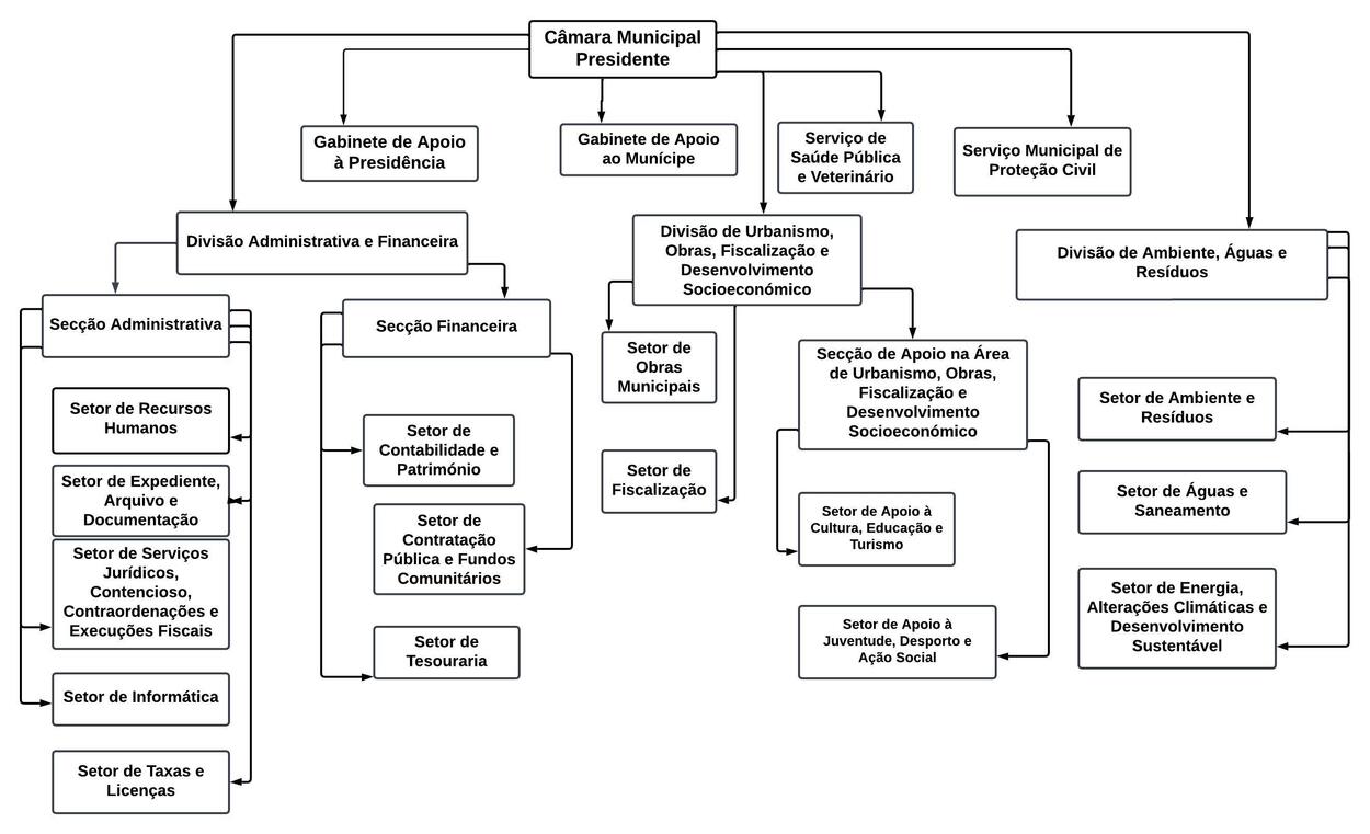 Organograma CMSCG em vigor